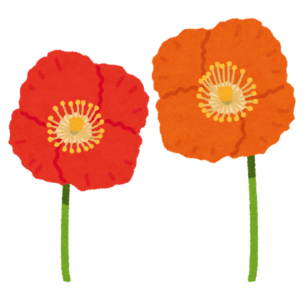flower_poppy_hinageshi.png