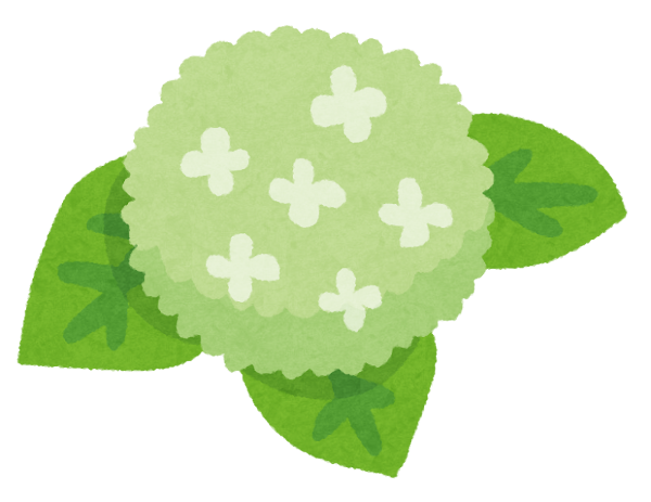 flower_ajisai1_lime.png