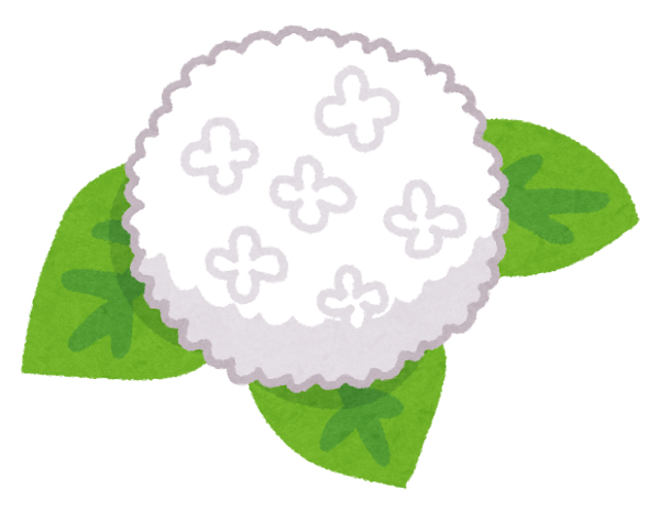 flower_ajisai9_white.png