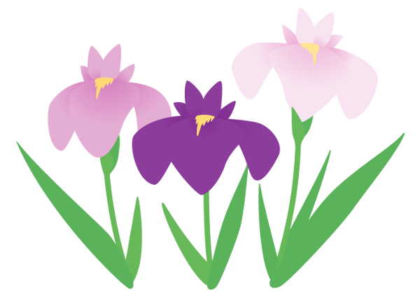 花しょうぶイラスト.png