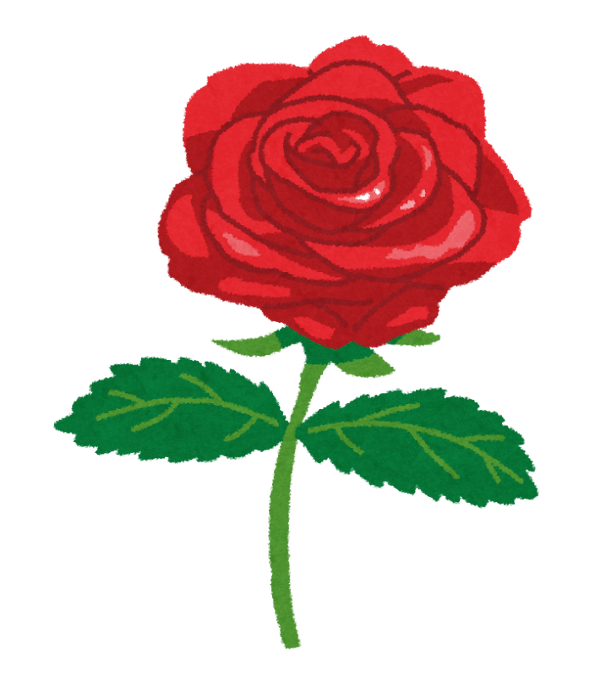 ばら（赤）.png