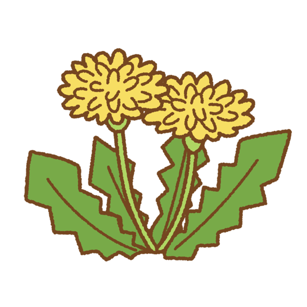 dandelion.png