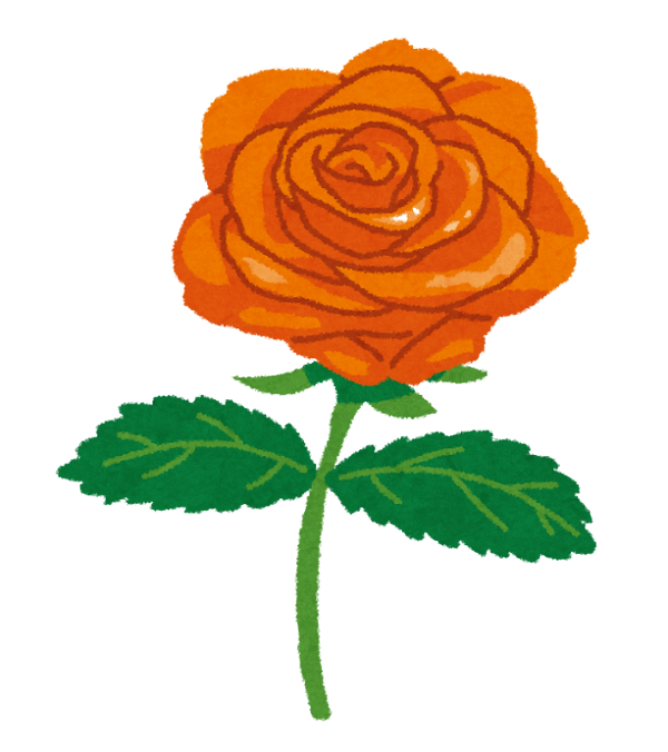 rose_orange.png