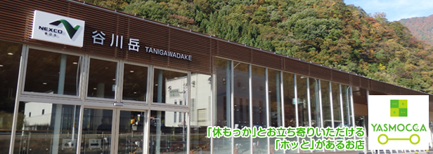 関越自動車道 谷川岳PAのイメージ画像