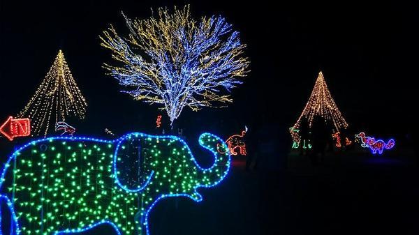 動物イルミネーション.jpg