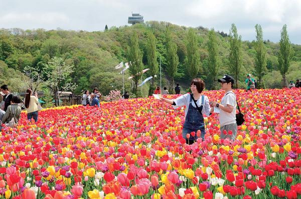 国営越後丘陵公園チューリップまつり.jpg