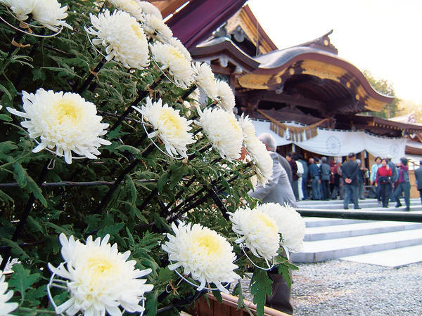 弥彦(R3.11月下りブログ使用)c8b005m (2).jpg