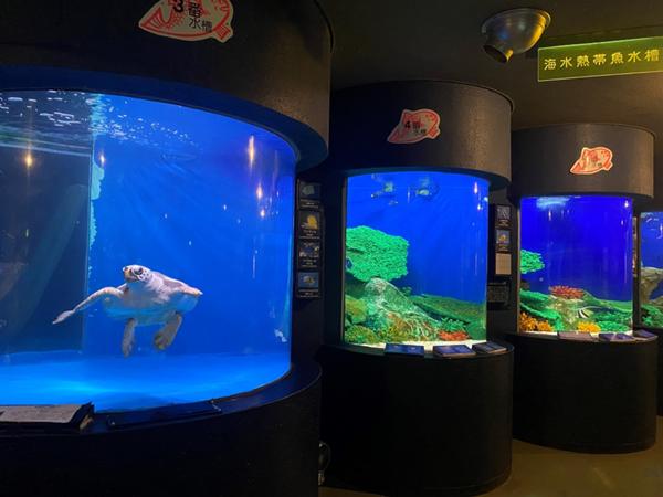 ブログ使用実際のサイズ寺泊水族館②（水槽）.jpg