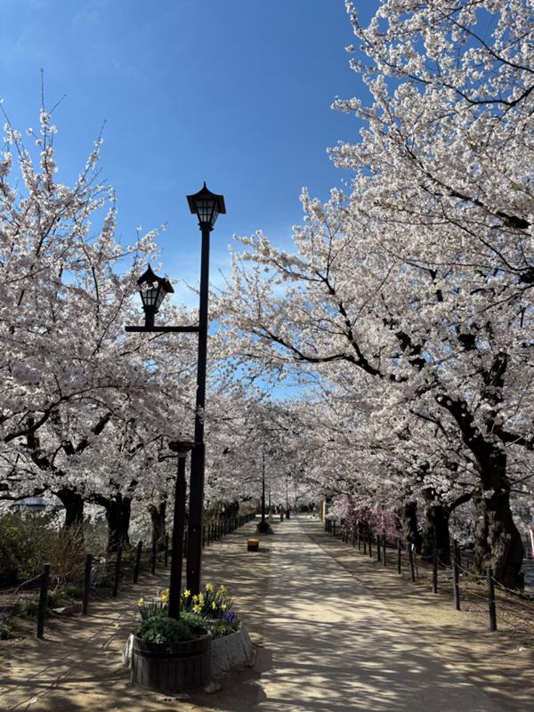 臥竜公園.jpg