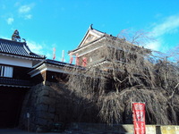 上田城.JPG