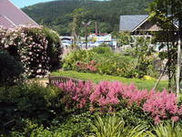 ブログ用② (2).JPG