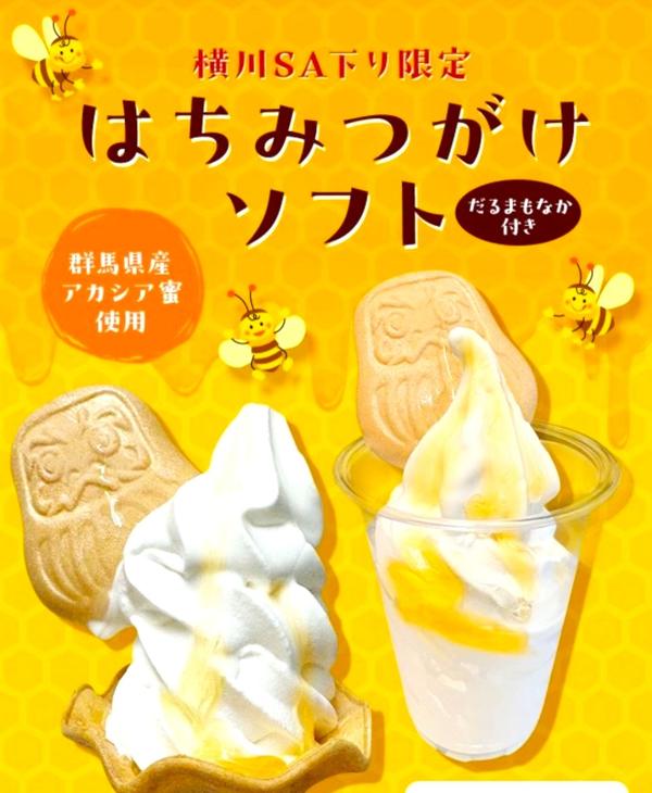 はちみつgakeソフト2.jpg