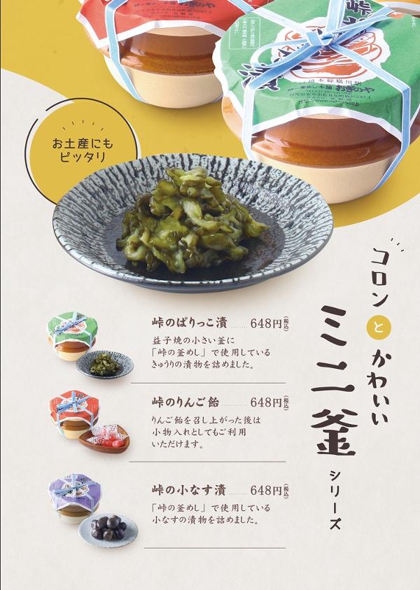 スクリーンショット_29-5-2026_192247_.jpeg