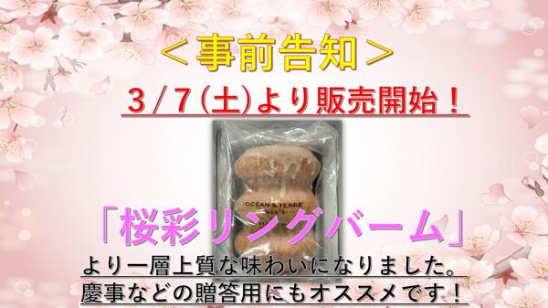 桜彩事前告知.jpg