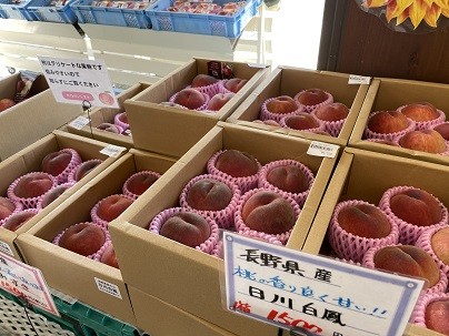 IMG_5538.jpeg
