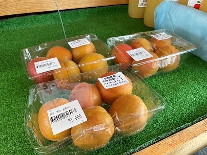 あんず.jpg