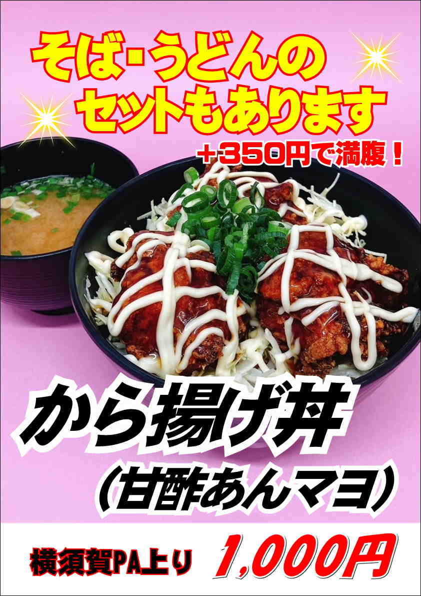 から揚げ丼.JPG