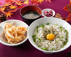 釜揚げしらうお丼（特製かき揚天付）