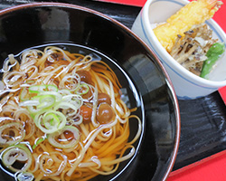 稲庭うどん・秋天丼セット
