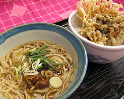 稲庭うどん・秋天丼セット