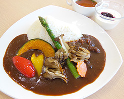磐梯山季節カレー（秋）