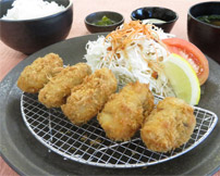 三陸産カキフライ定食