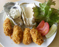 かきフライ定食