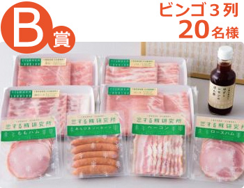 チバ ザ ポーク 千葉県産豚肉加工品の詰合せ