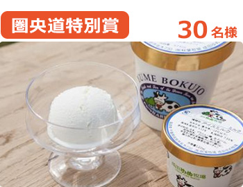 こだわりアイスクリーム大カップ3個セット