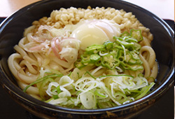 冷やしたぬきうどん