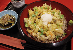 冷やし長芋かき揚げそば