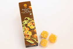 茨城栗モンブラン