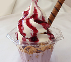 ブルーベリーサンデー