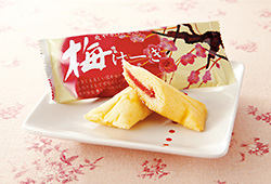 水戸　梅けーき