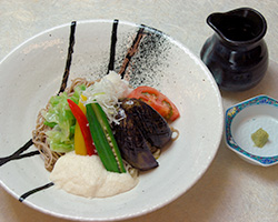 夏野菜冷やしそば・うどん