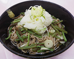 冷やしおろしそば