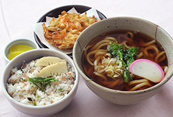 桜えびかき揚げうどん＆ちりめん彩りごはんセット