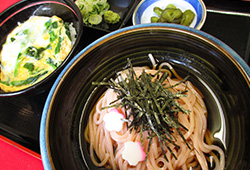 春のどんどんセット