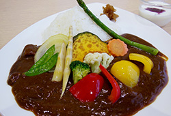 磐梯山季節カレー　（春）