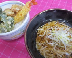 稲庭うどん春天丼セット