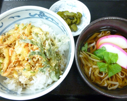 稲庭うどんとかき揚げ丼セット