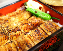 三陸産煮あなご重