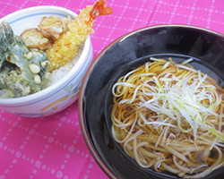 稲庭うどん春天丼セット