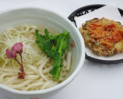 桜えびかき揚げうどん