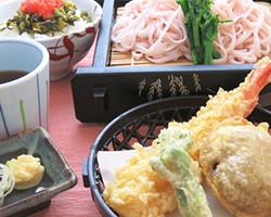 三春桜そうめんセット