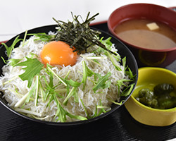 春の釜揚げしらすの卵かけ丼