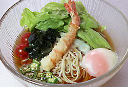 涼風稲庭うどん