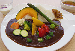 磐梯山季節カレー（夏）