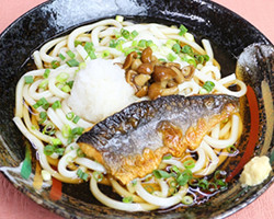 冷やし田舎うどん