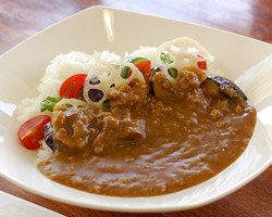 夏野菜ハバネロカレー